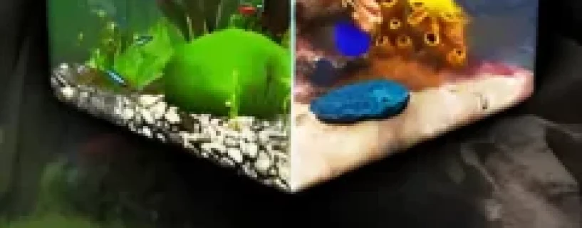 Behind Glass: Aquarium Simulator Free Download