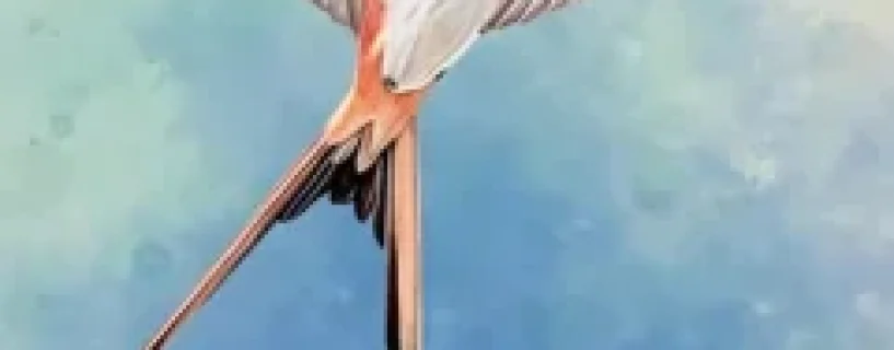 Wingspan Free Download (v1.6.1063)